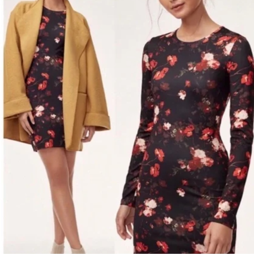 Wilfred Fleur Bodycon Dress NWOT
